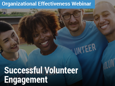 Organizational Effectiveness Webinar: Successful Volunteer Engagement - image of four volunteers with matching shirts