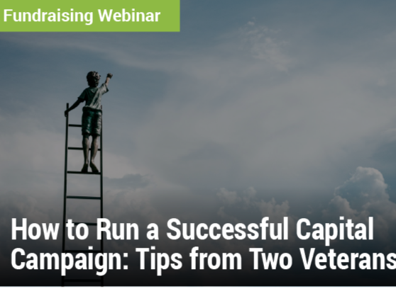 Fundraising Webinar: How to Run a Successful Capital Campaign: Tips from Two Veterans - image of a child at the top of a ladder looking at the big sky