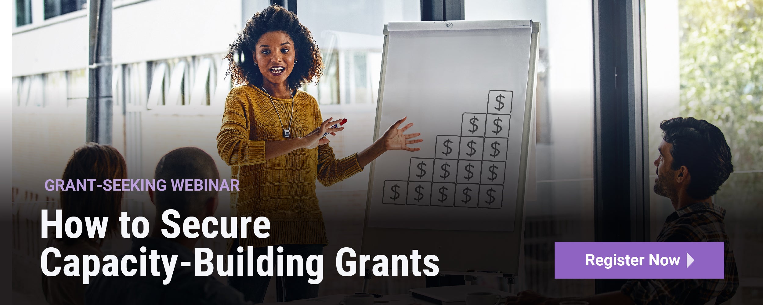 Grant-Seeking Webinar | How to Secure Capacity-Building Grants