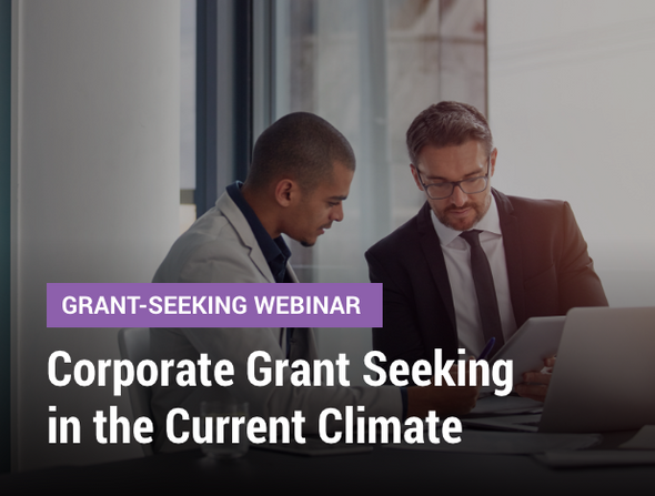 Grant-Seeking Webinar: Corporate Grant Seeking in the Current Climate - image of two professionals reviewing notes and charts